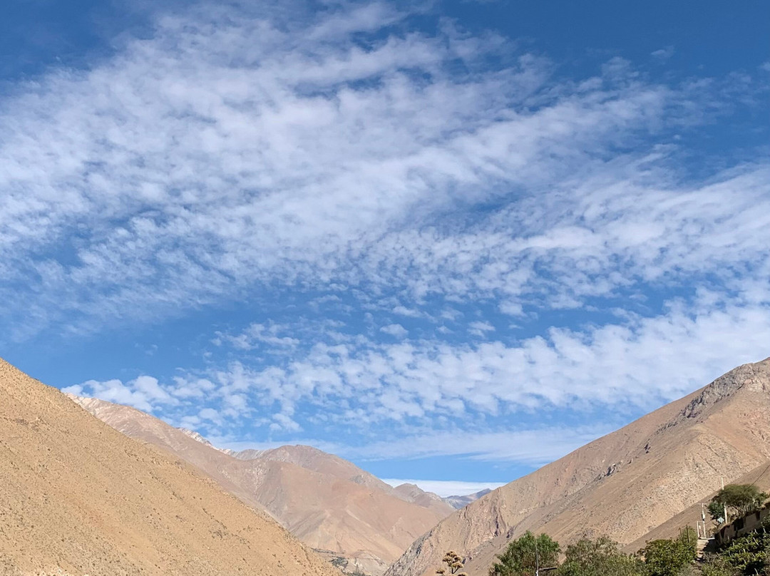 Doña Josefa de Elqui - Pisco Artesanal景点图片