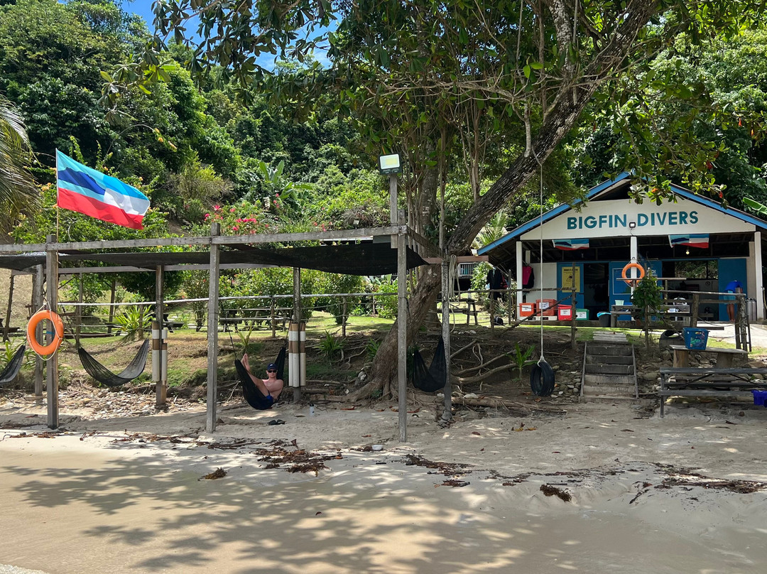 Bigfin Divers-哥打毛律必去景点