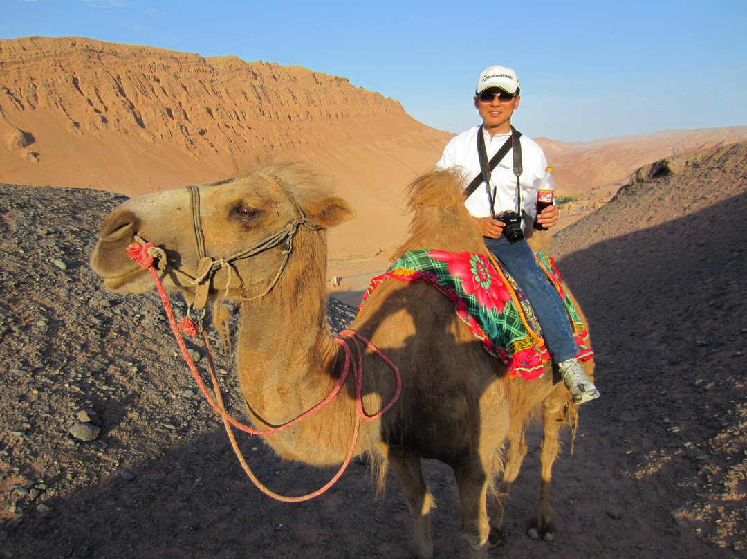 Turpan Tours-吐鲁番市必去景点