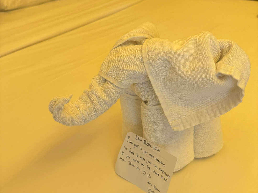 库塔阿拉亚度假村主图