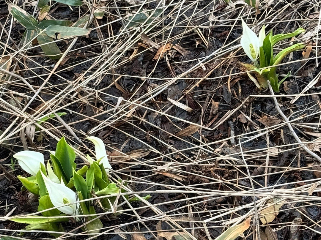 Horonobe Visitor Center-幌延町必去景点
