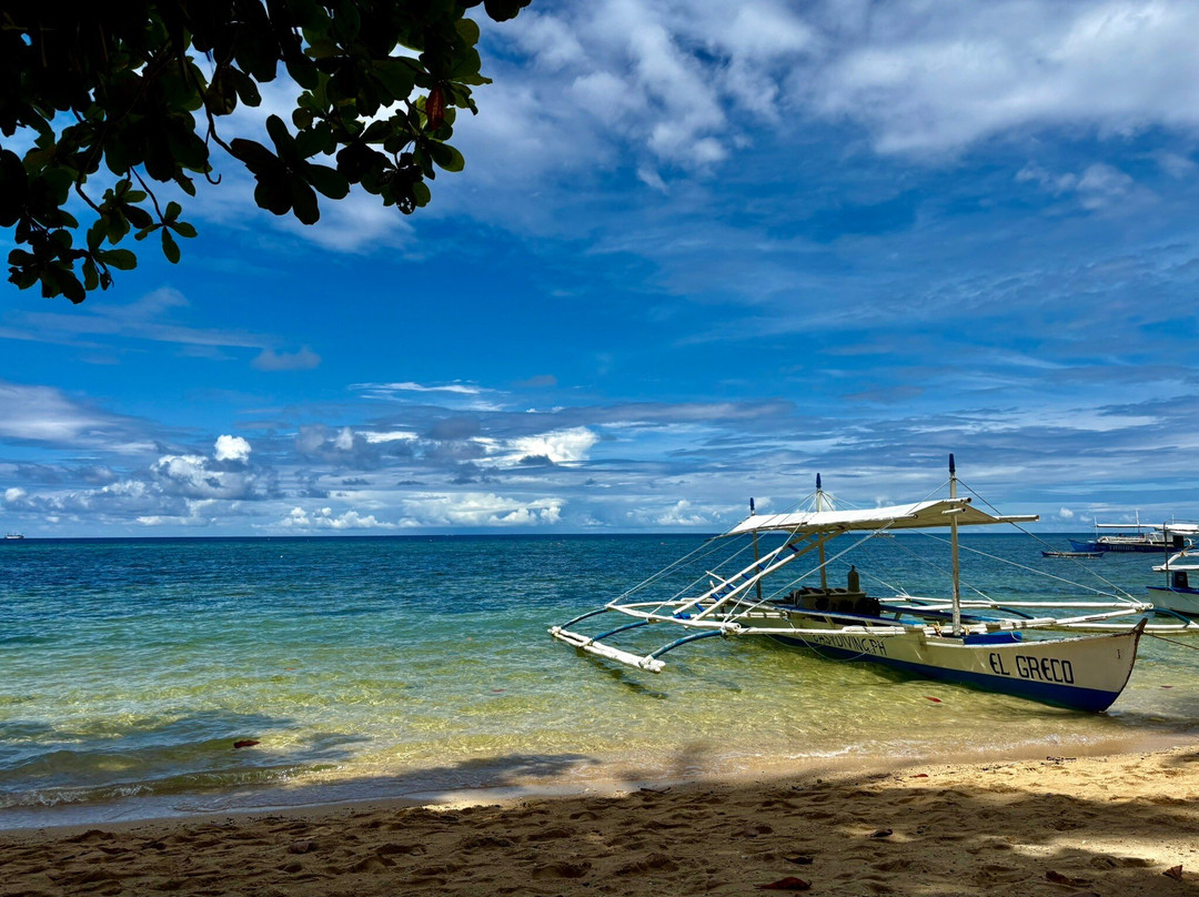 Easy Diving and Beach Resort主图