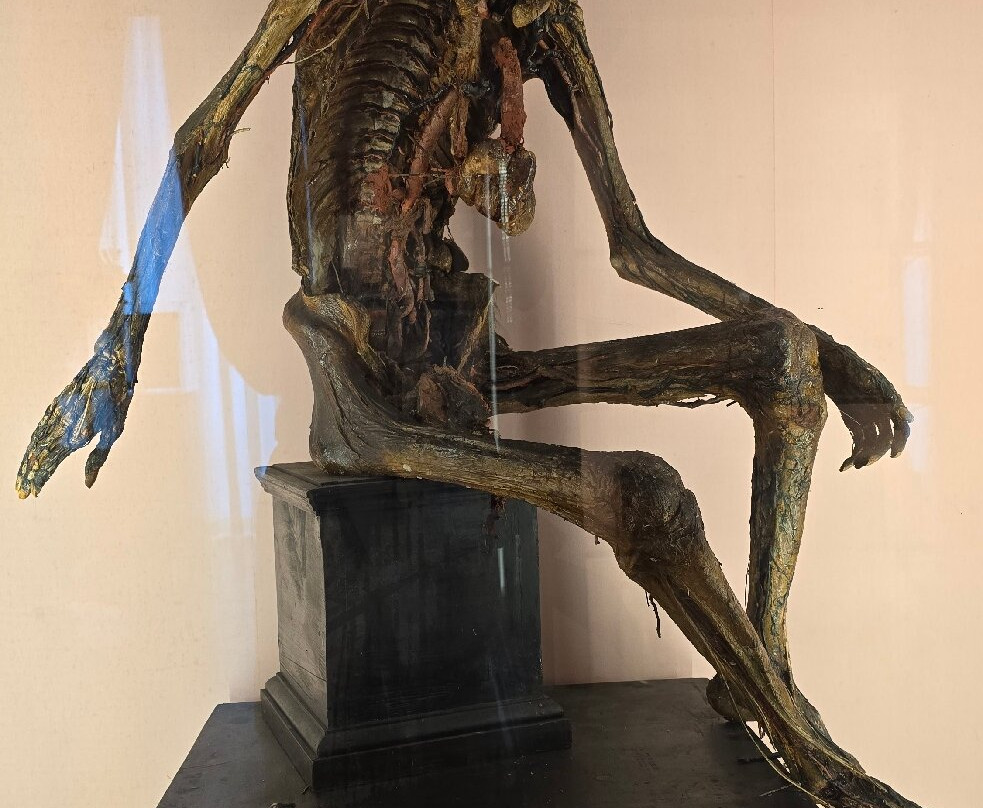 MUSA - Museo Universitario delle Scienze e delle Arti-那不勒斯必去景点