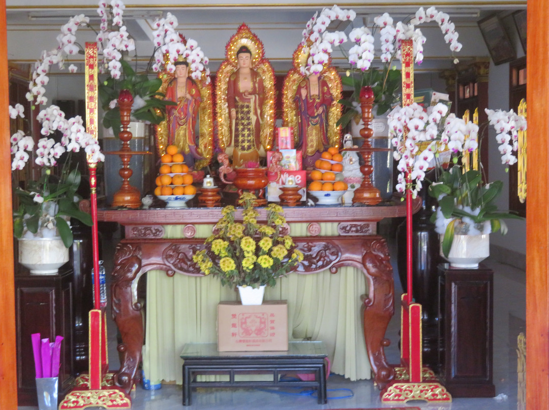 Tam An Pagoda景点图片