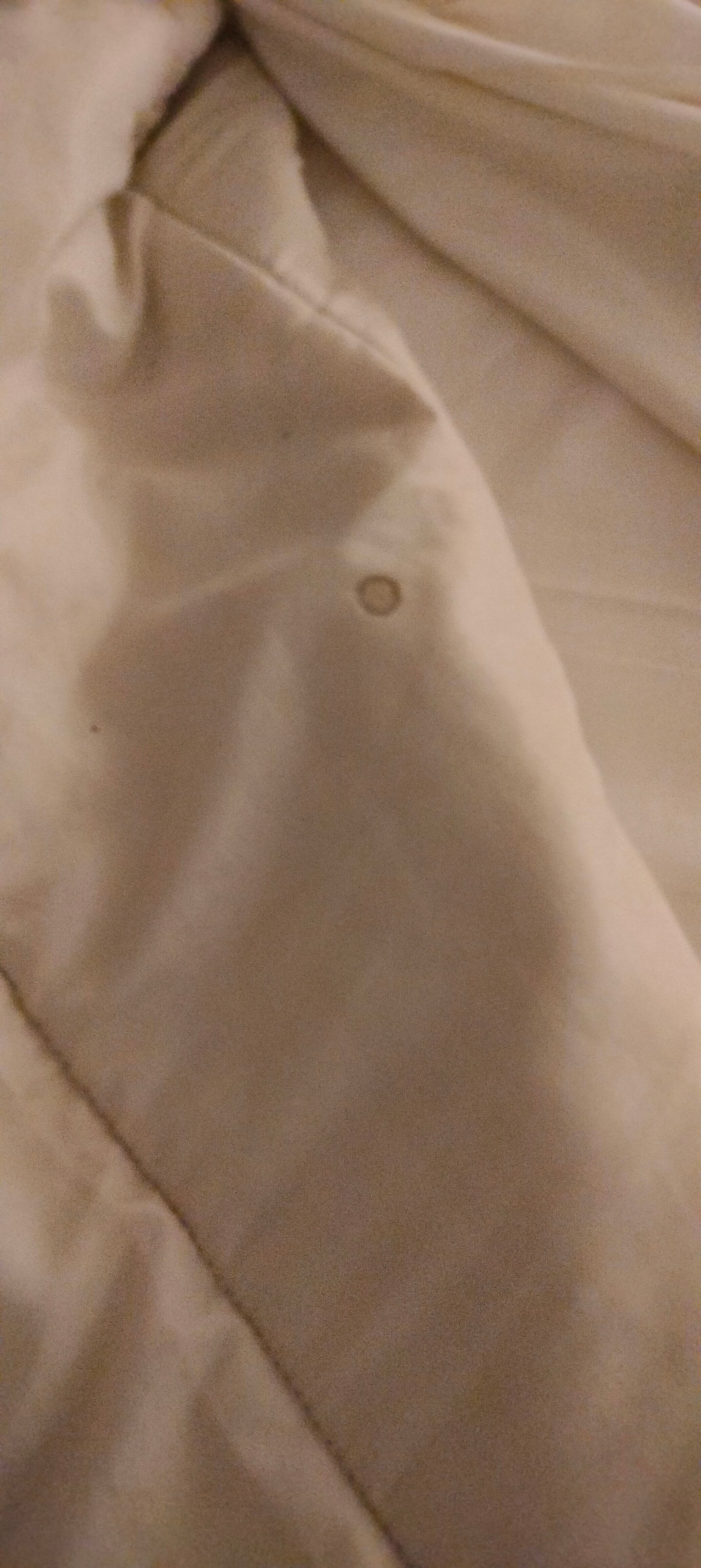 Hotel Poseidon-客卧