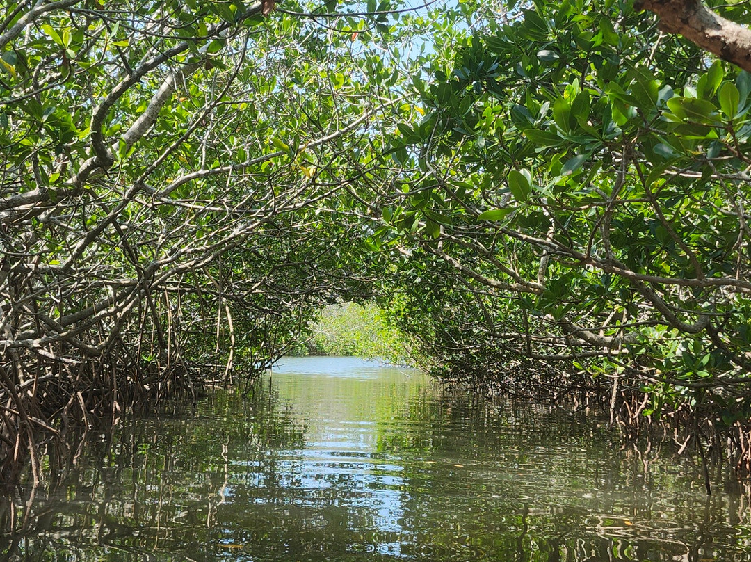 SURFit USA-Lido Key必去景点