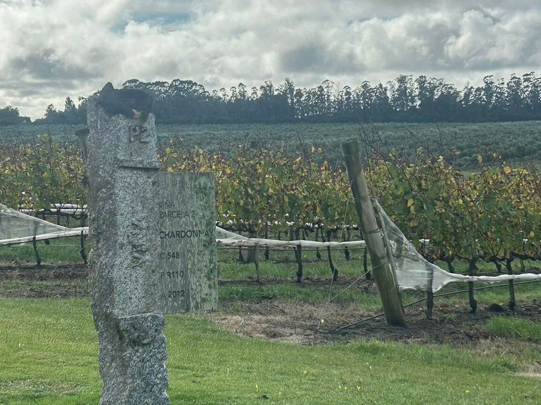 Jose Ignacio Bodega Oceanica-Jose Ignacio必去景点