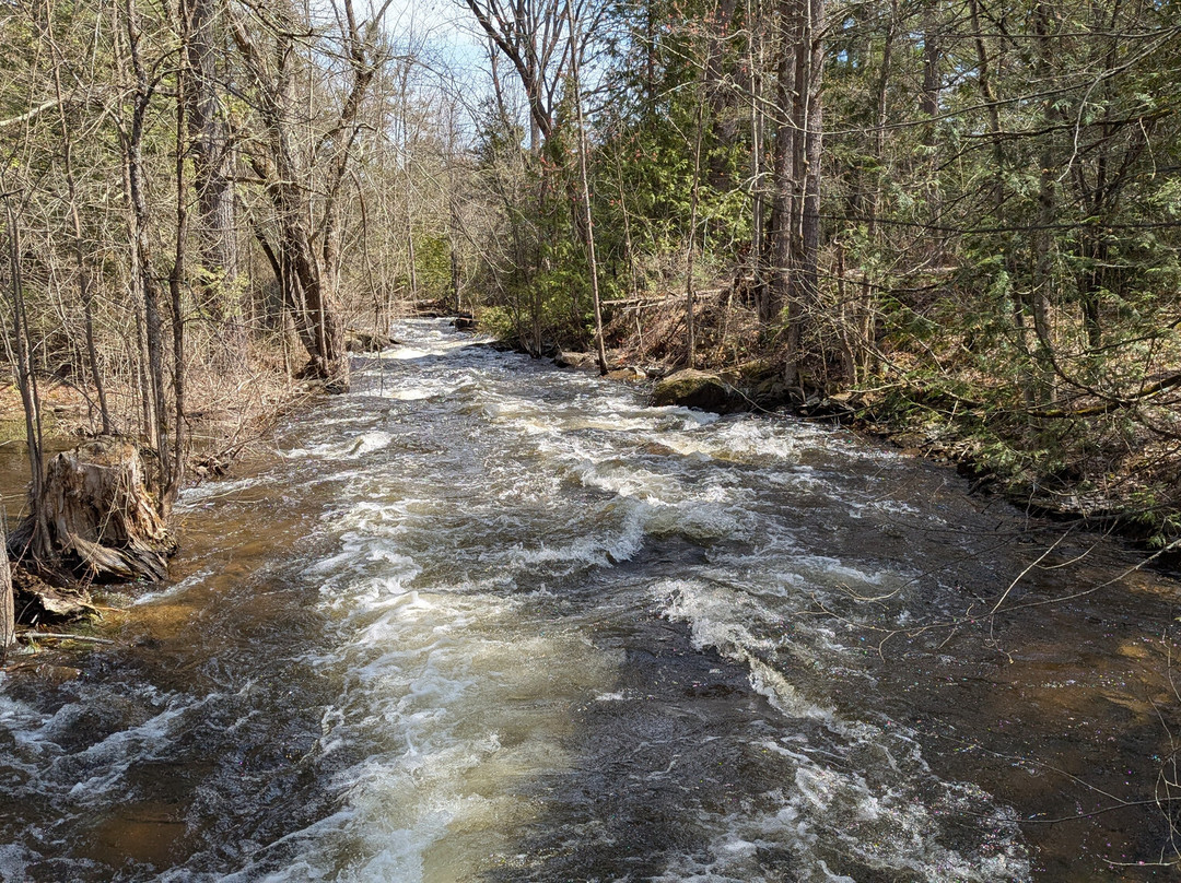 Moonstone Manor Bed & Breakfast主图