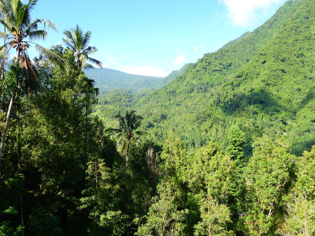 Sekumpul Accommodation主图