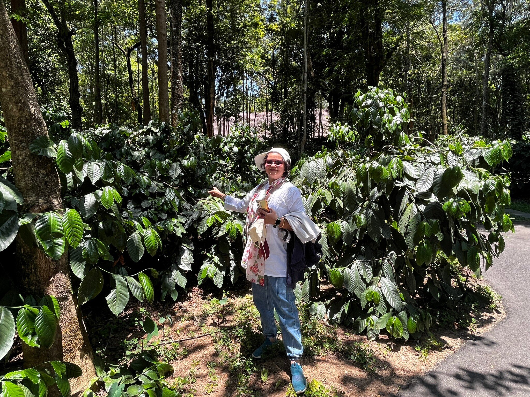 Rosetta Sakleshpur-官方