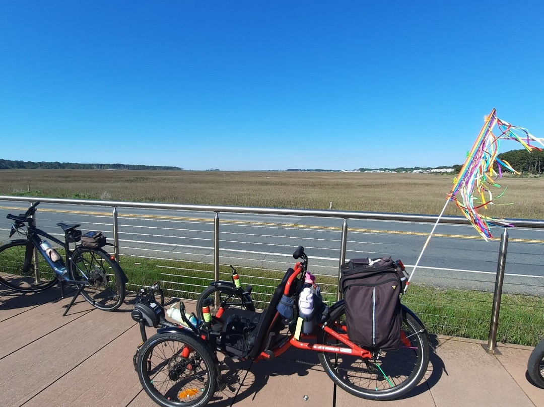 Magical Mystery Bike Tours, LLC-罗阿诺克必去景点