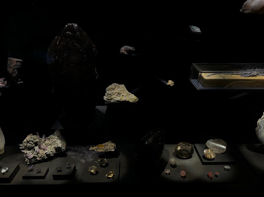 Naturalis Biodiversity Center景点图片