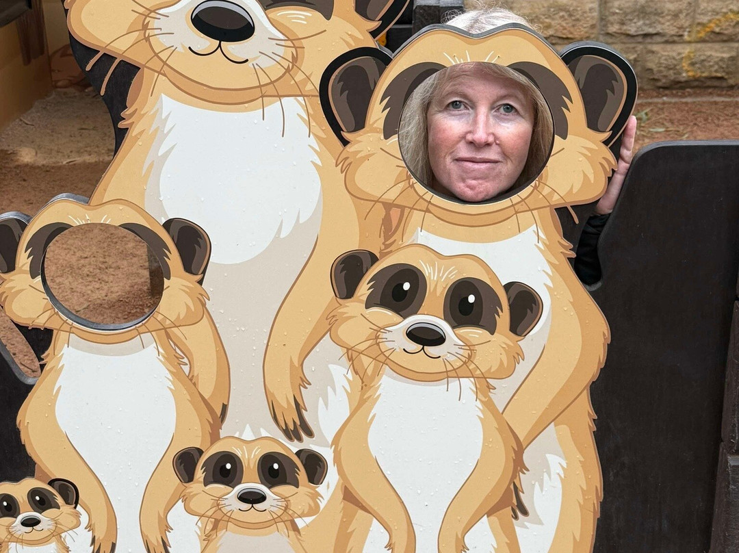 国家动物园及水族馆-堪培拉必去景点