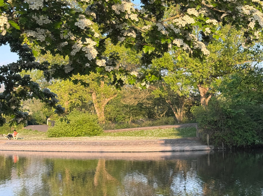 Barrow Park景点图片
