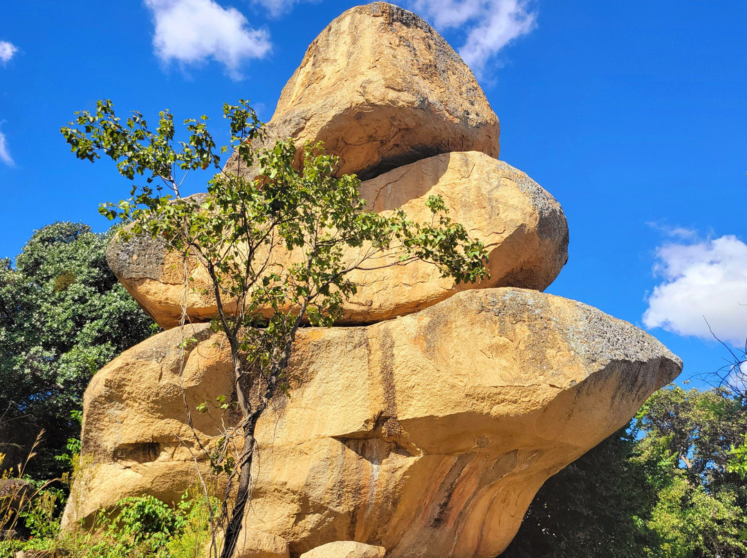 Muyeni Resort and Safaris-哈拉雷必去景点