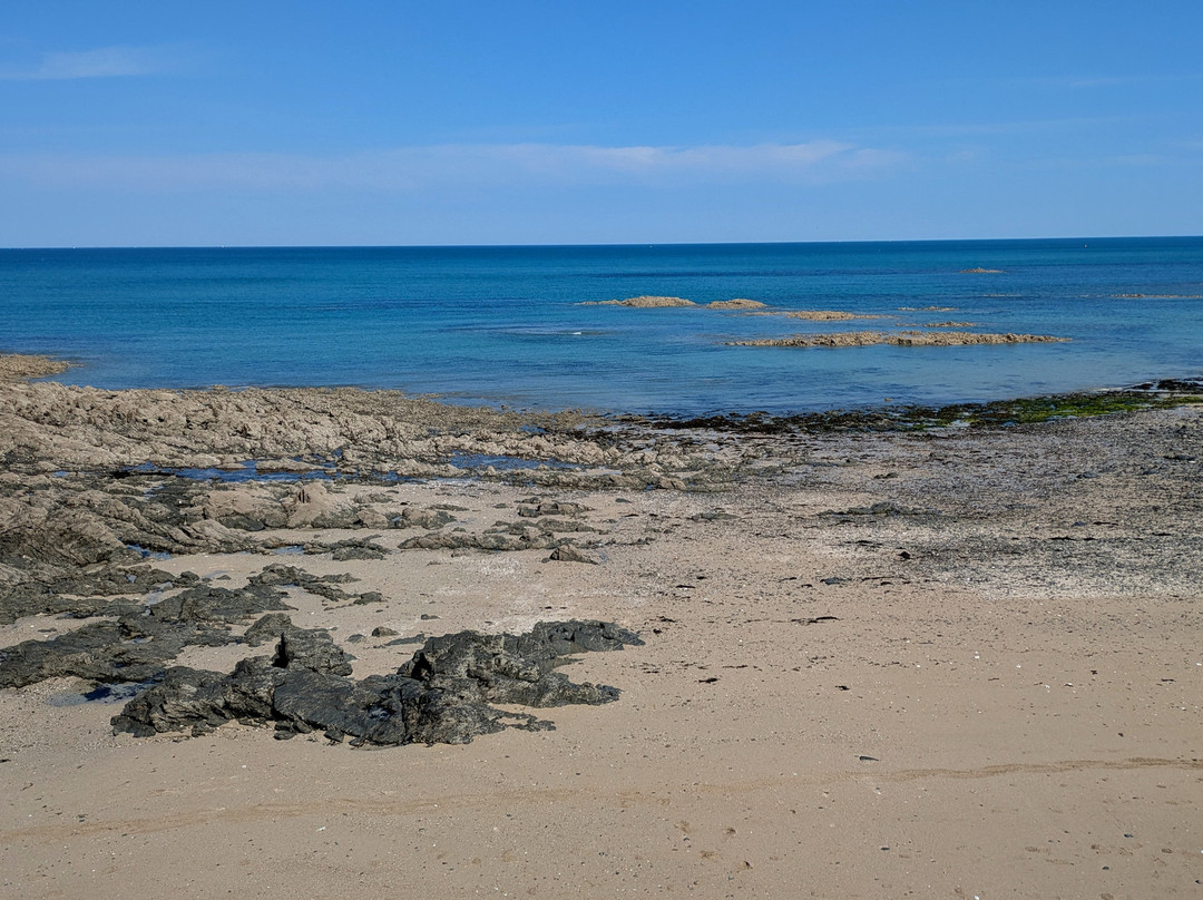 Plage du Plat Gousset-格兰维尔必去景点