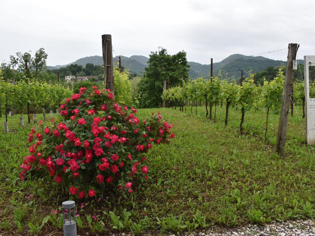 Tenuta Amadio-Monfumo必去景点
