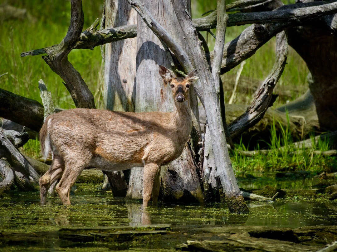 The Grove-格伦维尤必去景点