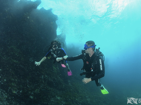 Noronha Diver-费尔南多-迪诺罗尼亚群岛必去景点