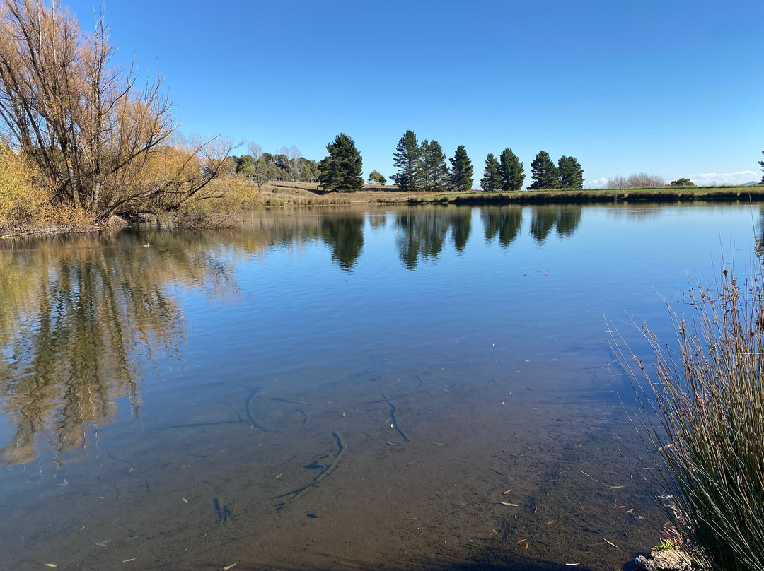 Lake Williams-Nimmitabel必去景点