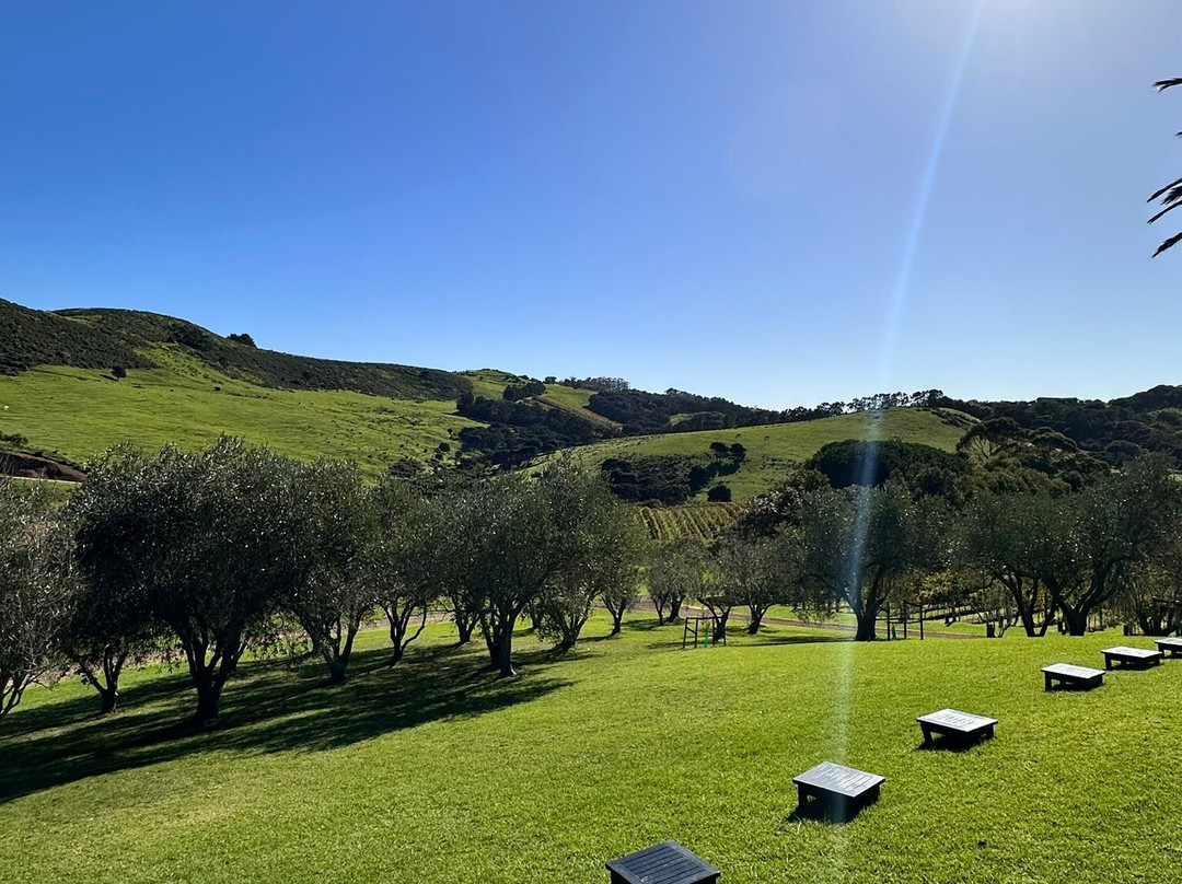 Stonyridge Vineyard景点图片