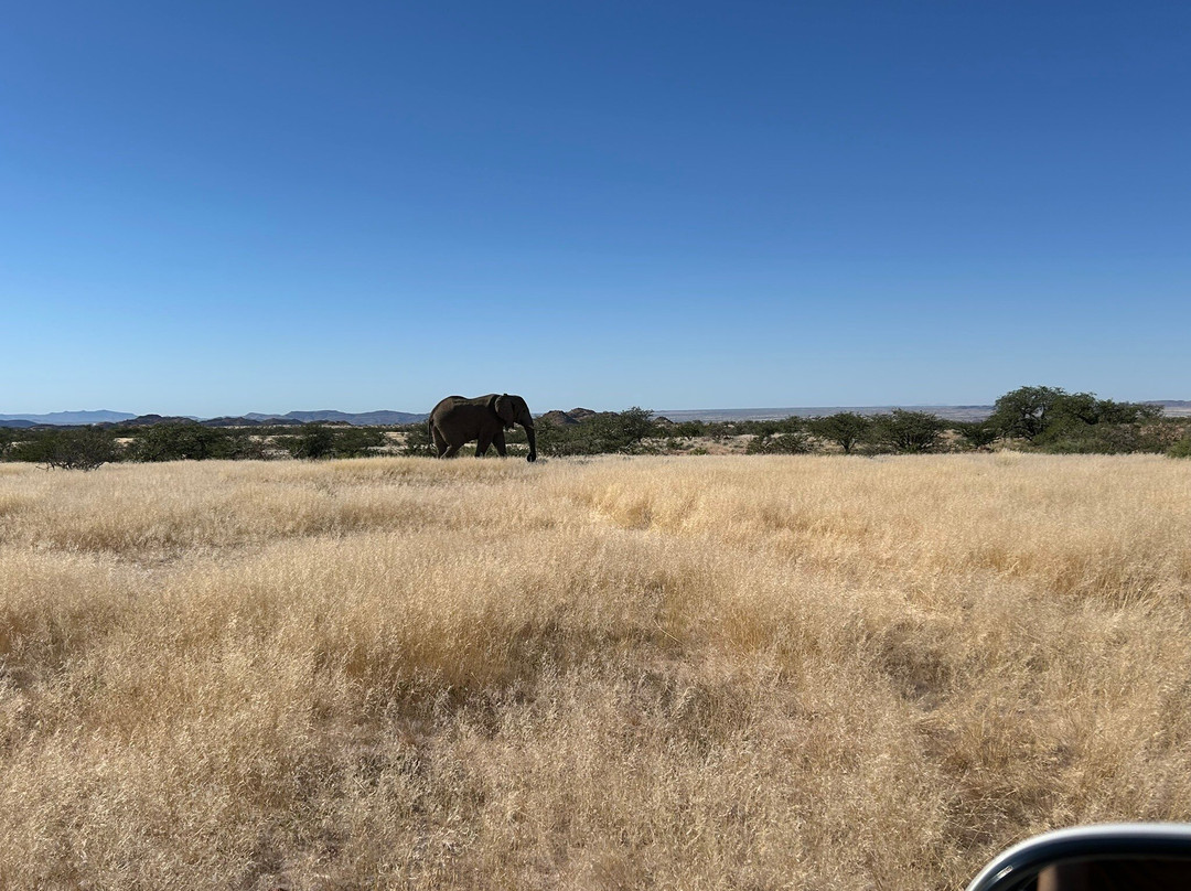 Uis Elephant Guesthouse主图