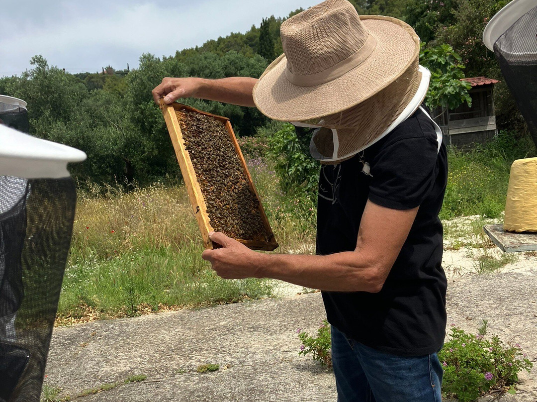 Dias Beekeeping-Svoronata必去景点