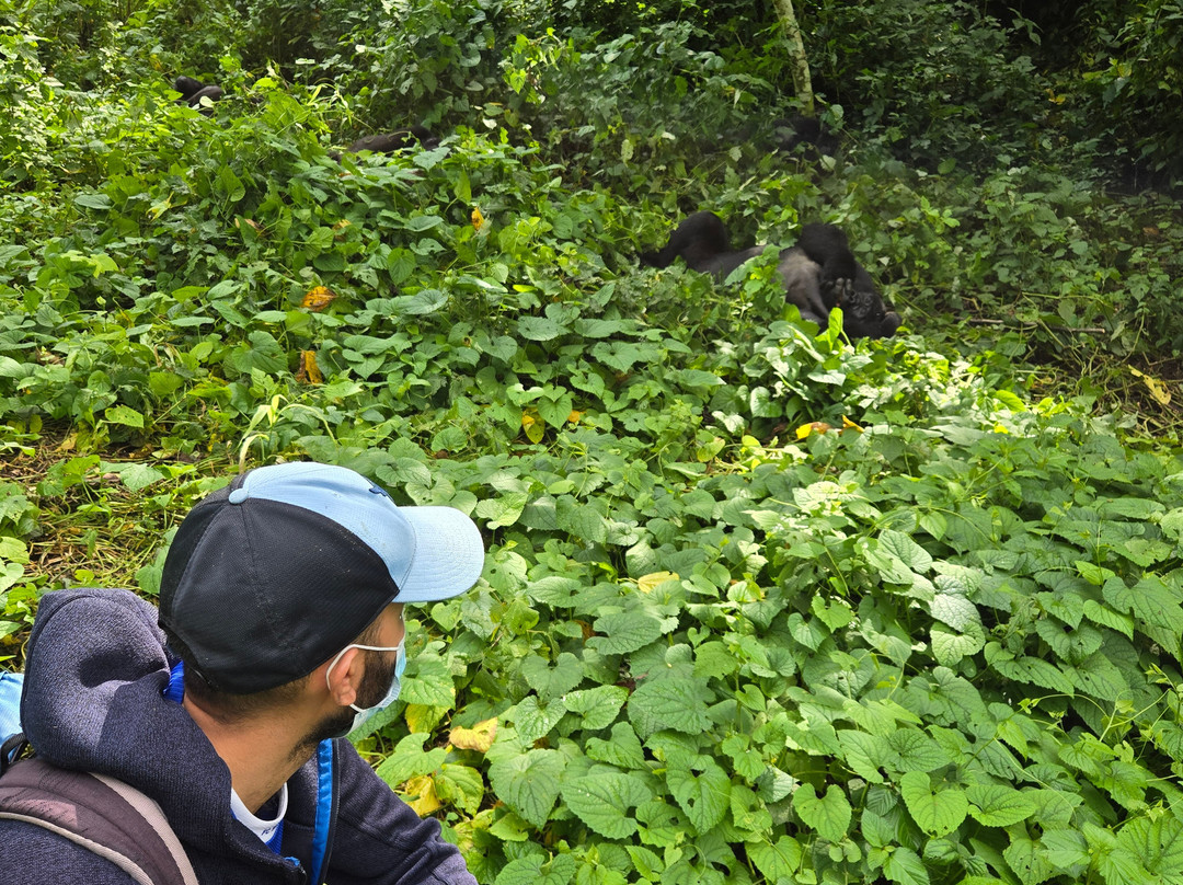 Great Adventures Uganda-坎帕拉必去景点