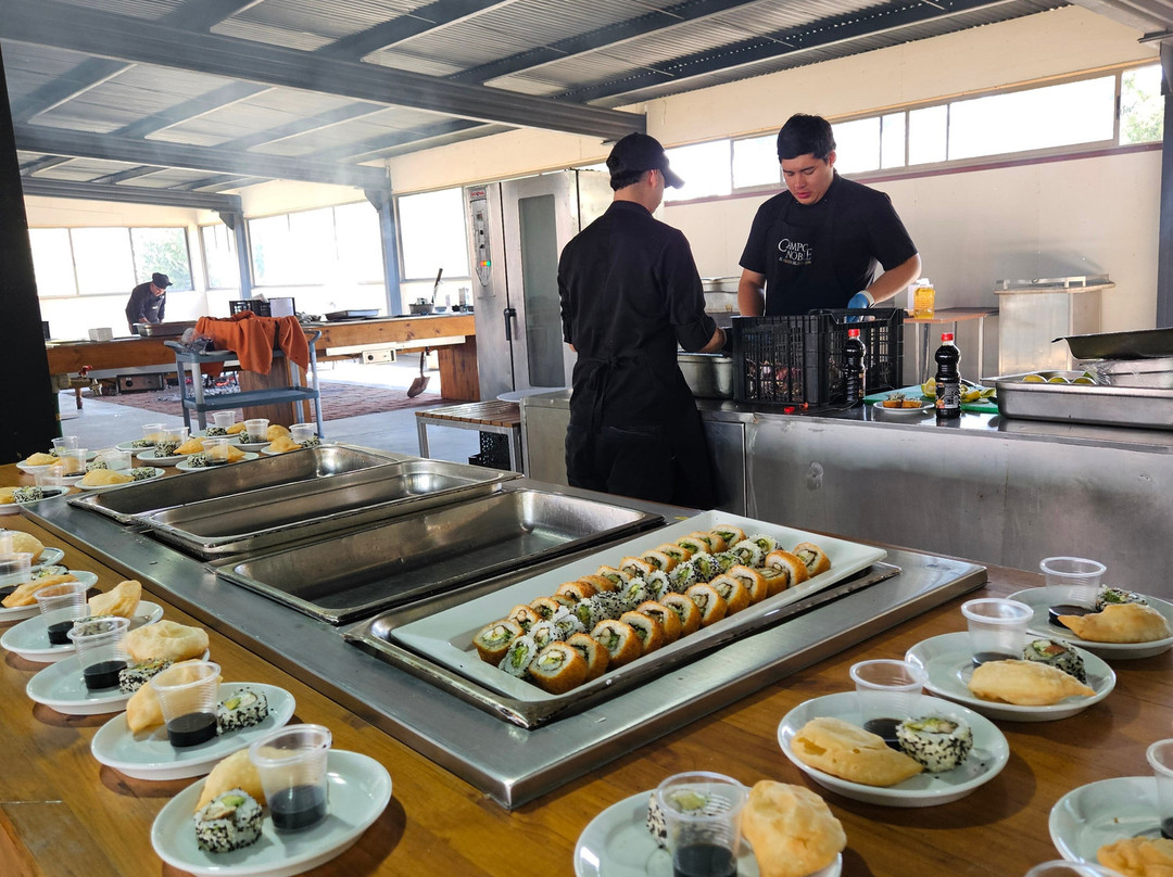 Termas de Quinamavida主图