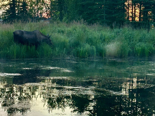 Explore Kenai LLC-索尔多特纳必去景点