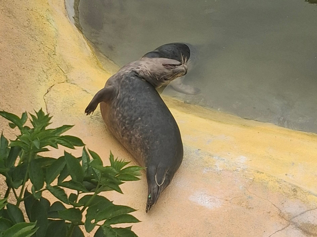 Sea Life Blankenberge-布朗肯堡必去景点