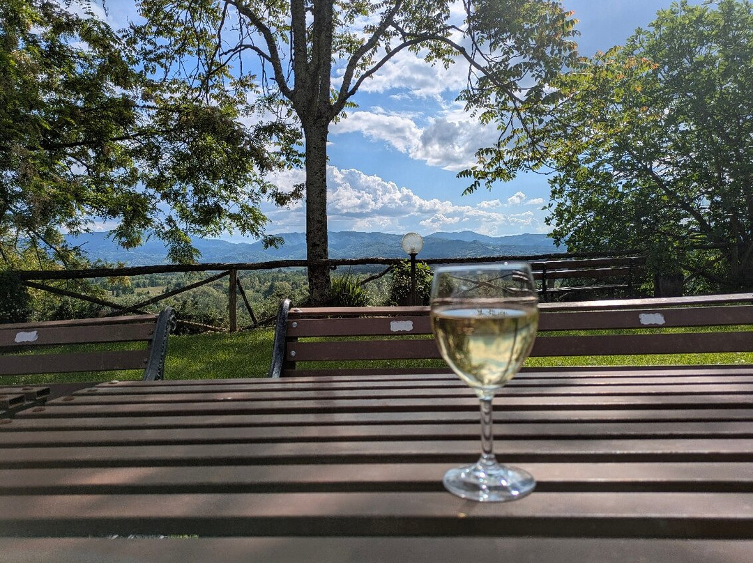Agriturismo Il Poggio alle Ville主图