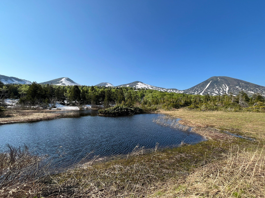 Suiren Pond-十和田市必去景点