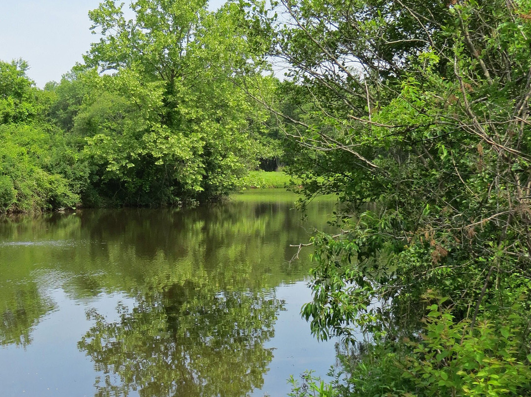 Environmental Education Center at Lord Stirling Park景点图片