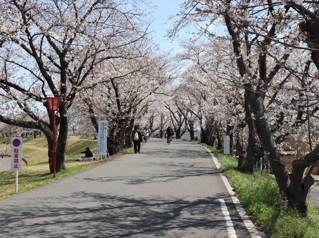 Sunomata Castle-大垣市必去景点