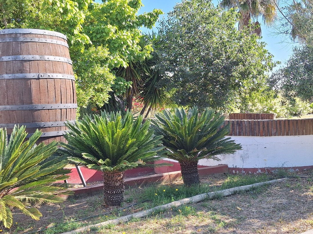 Terras de Monsaraz主图