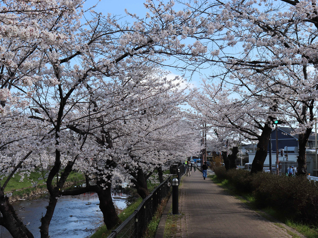 Shinsakai River Tsutsumi-各务原市必去景点