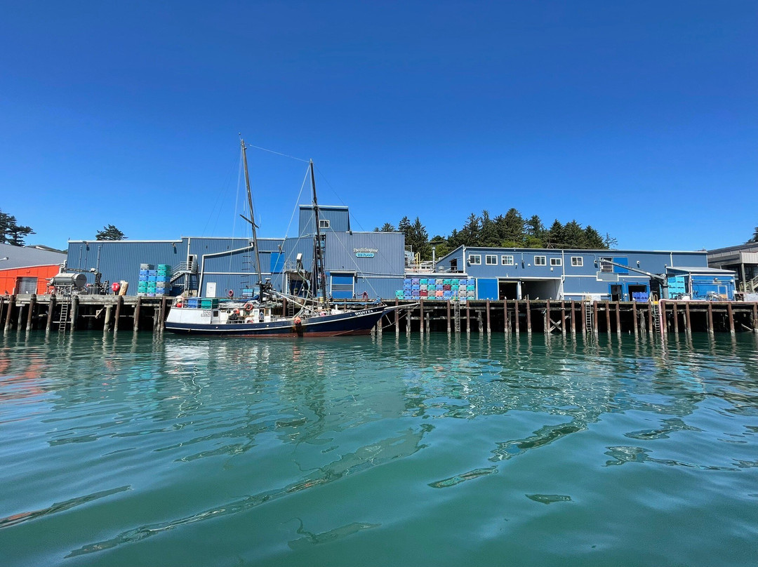 Marine Discovery Tours-纽波特必去景点