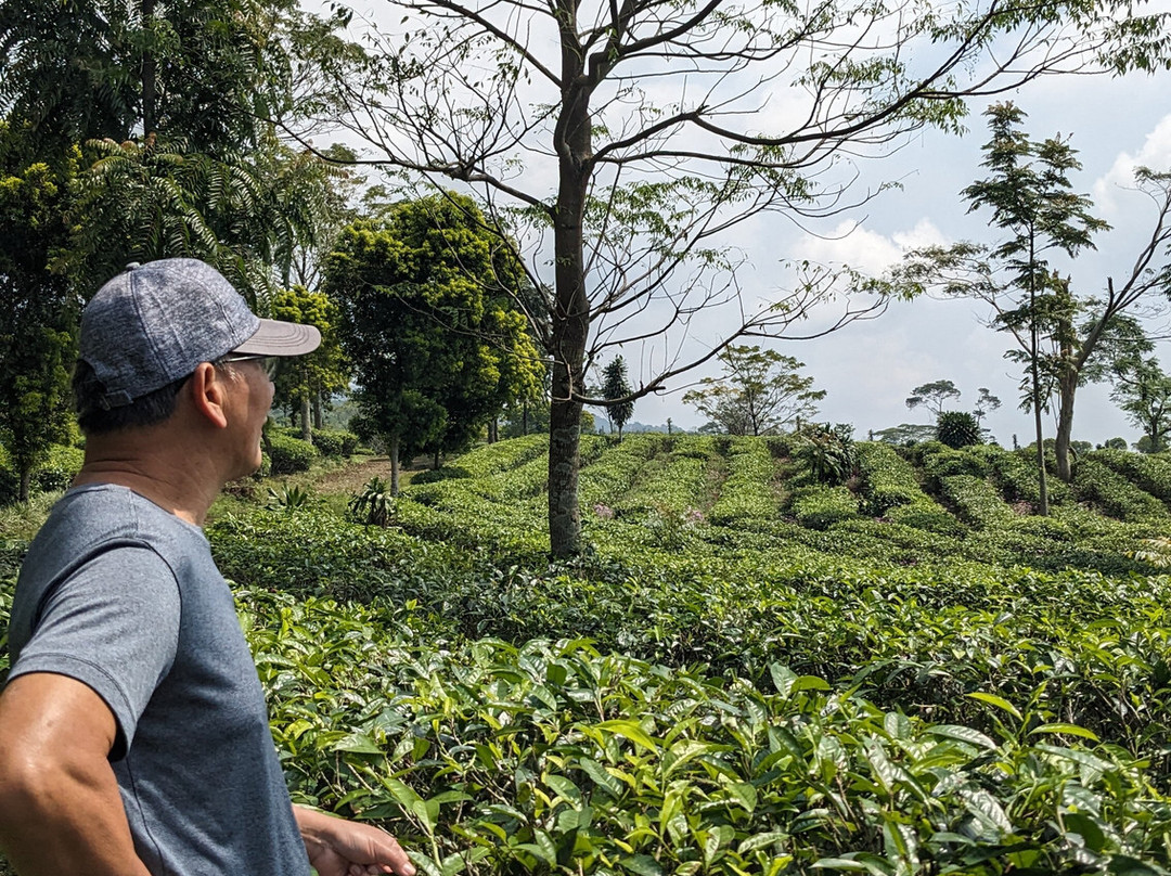 Cerita Bandung-万隆必去景点