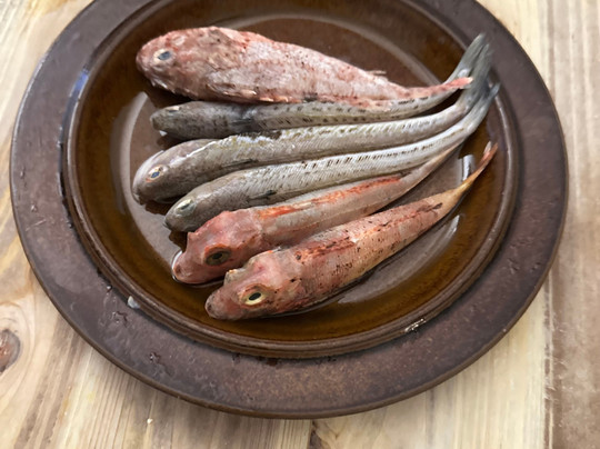 Traveling Spoon-威尼斯必去景点