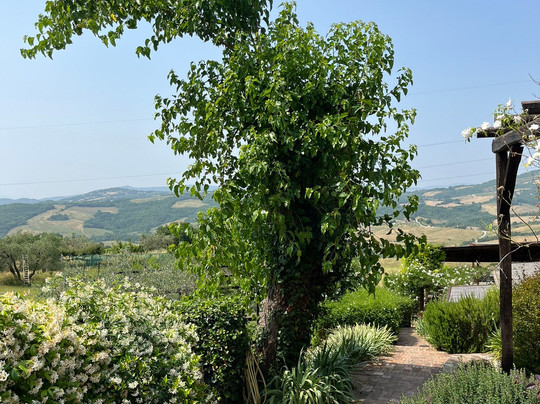 Agriturismo Le Canterie主图