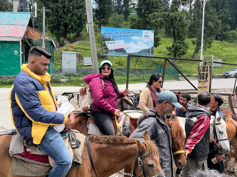 Fairytale Tour and Travels-斯利那加必去景点
