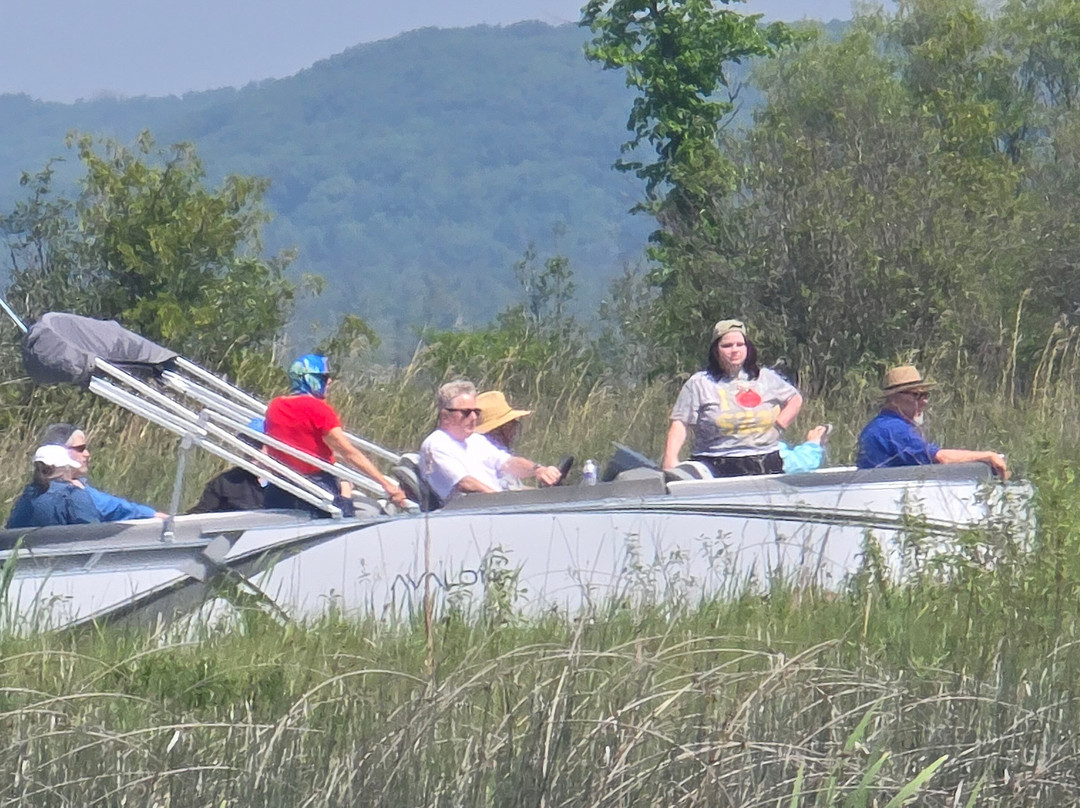 Pontoon Boat Rental景点图片