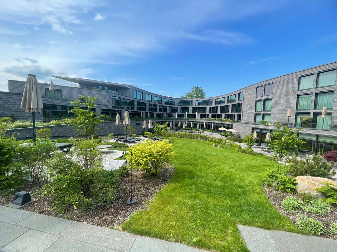 Luisenhöhe - Gesundheitsresort Schwarzwald主图