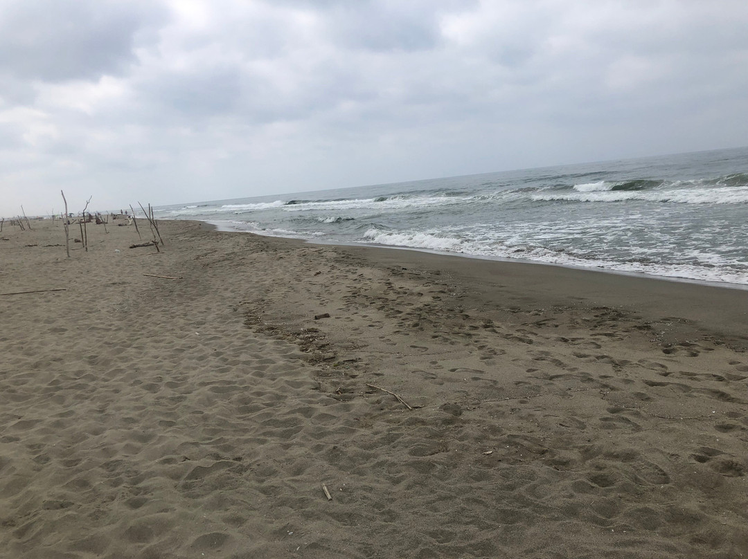 Spiaggia Della Lecciona-维亚雷焦必去景点
