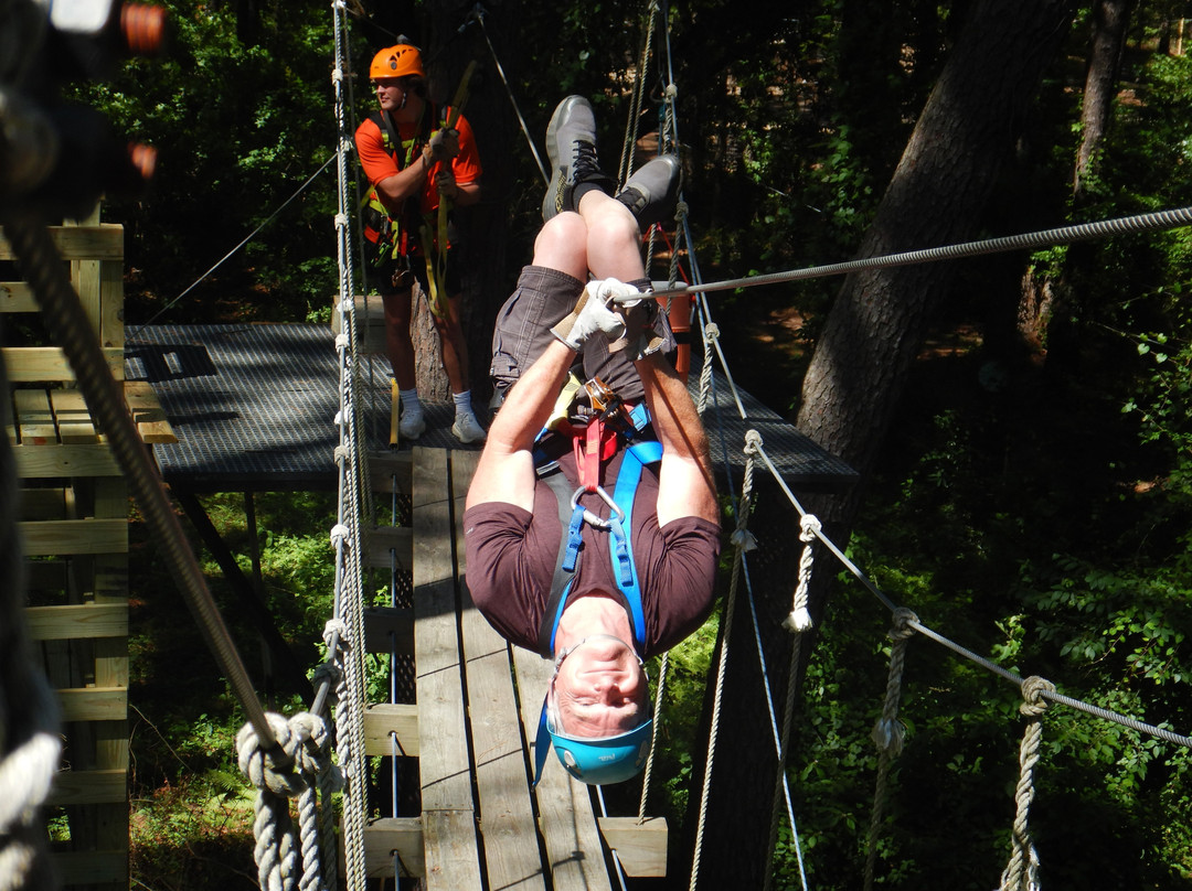 Charleston Adventure Forest-Awendaw必去景点