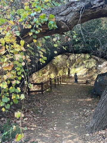 Louis A Stelzer County Park-Lakeside必去景点