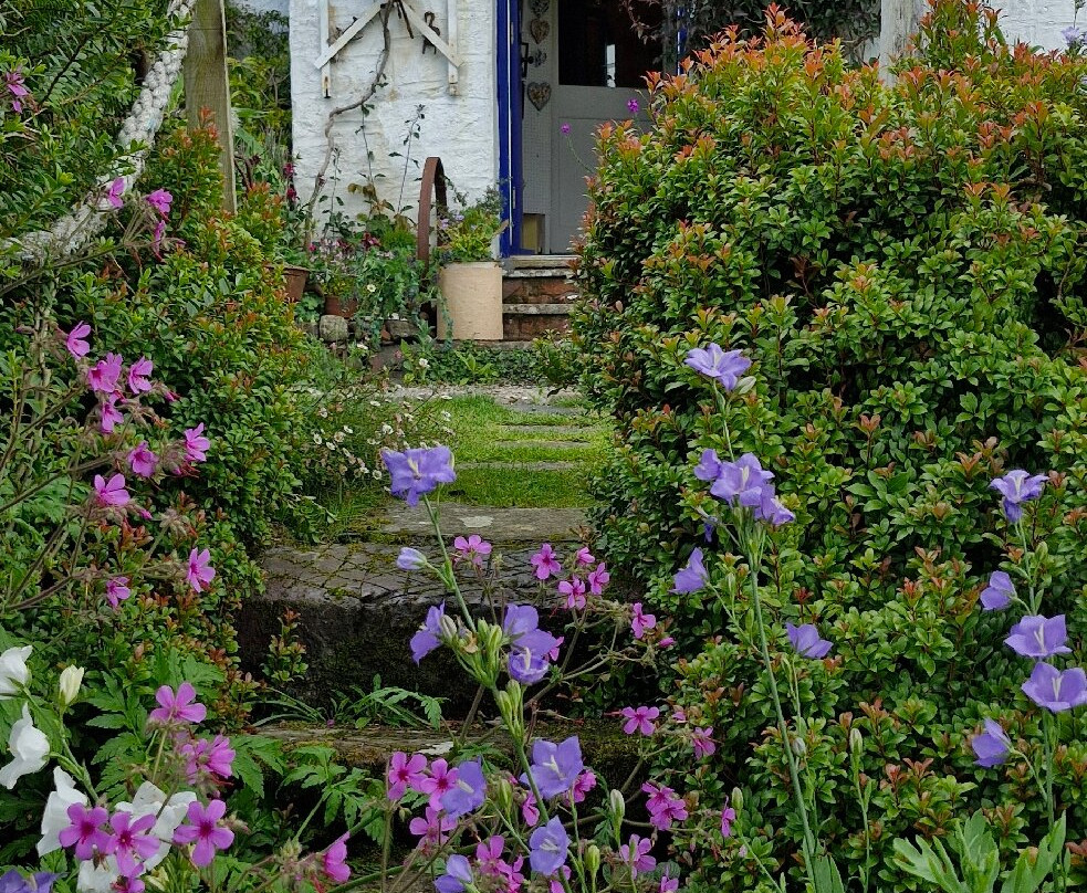 Lip na Cloiche Garden and Nursery-马尔岛必去景点
