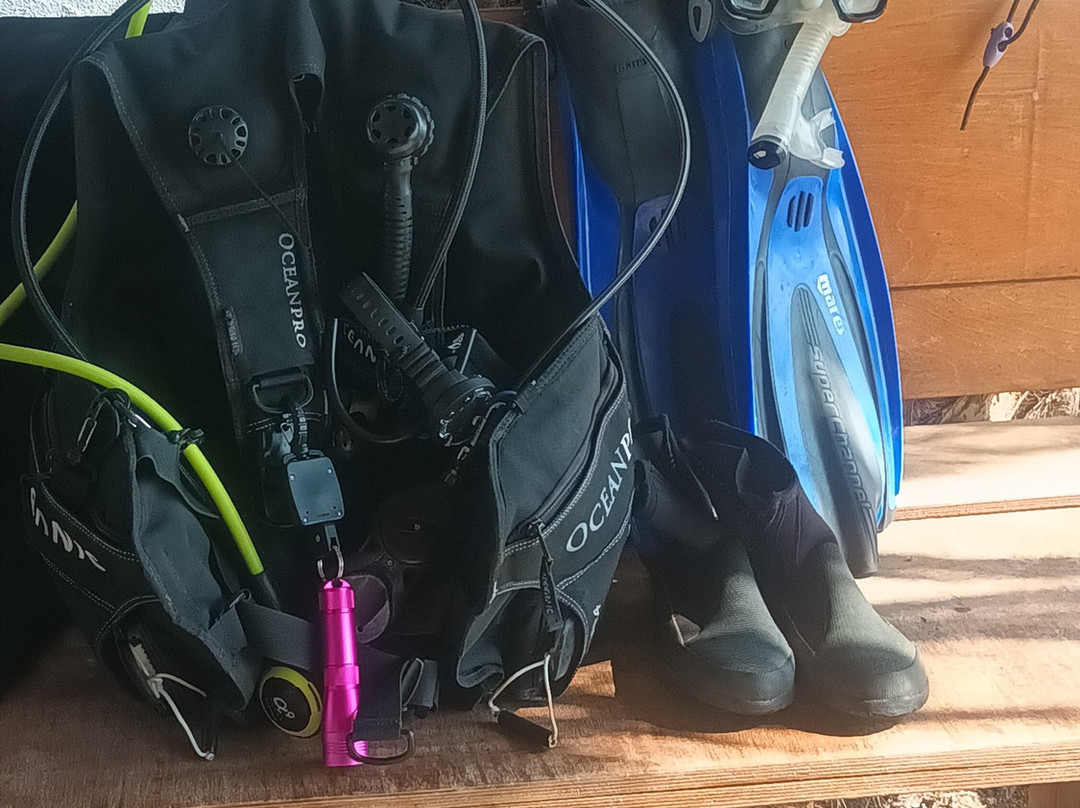 Heraklion Diving Center-赫索尼索斯必去景点