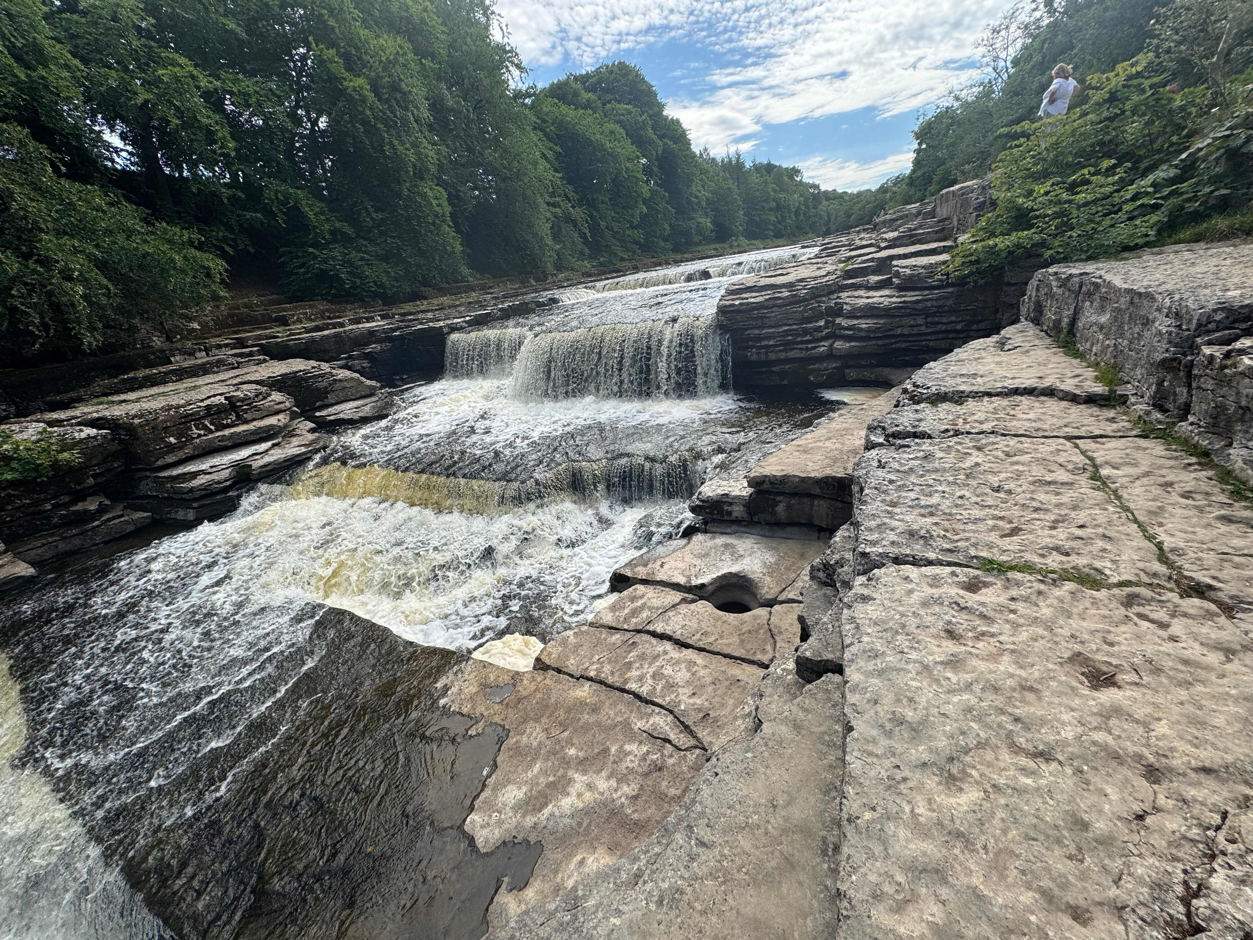 Aysgarth Falls Hotel-官方